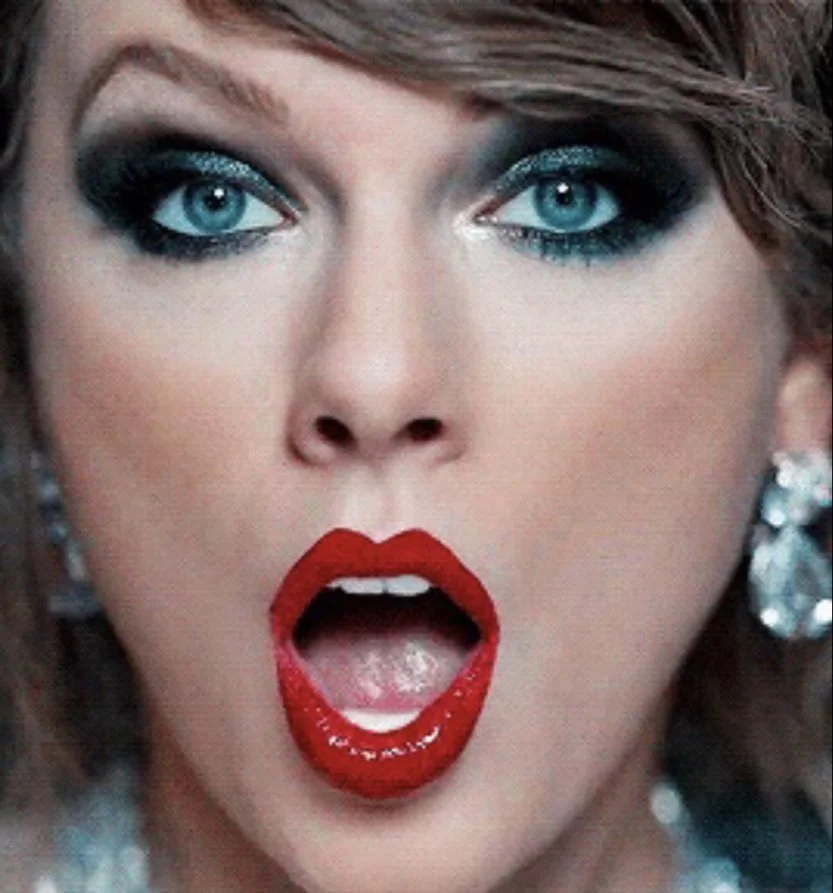 Taylor Swift incl. Gay4Tay and Fakes image 11