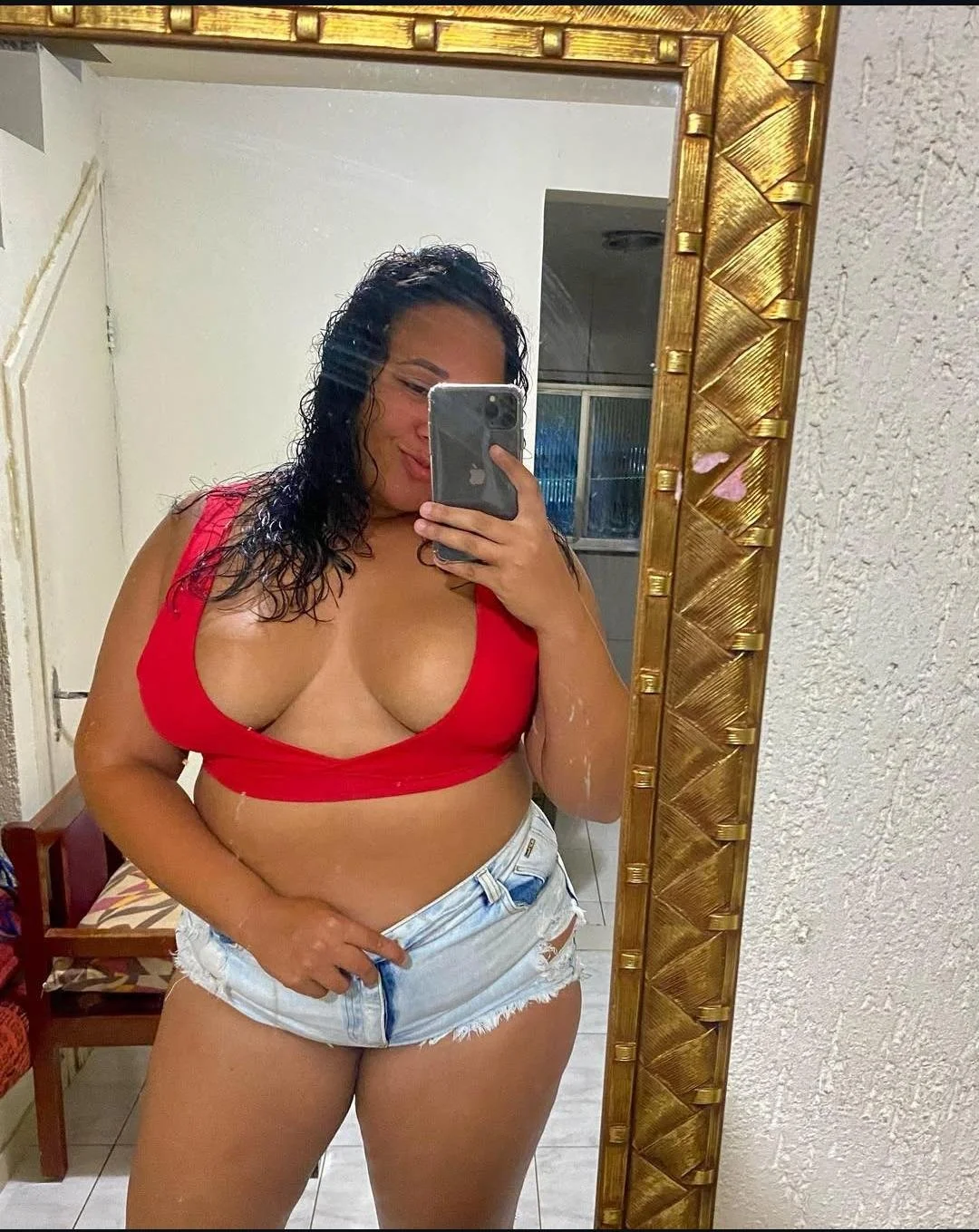 Gordelicia carioca image 6