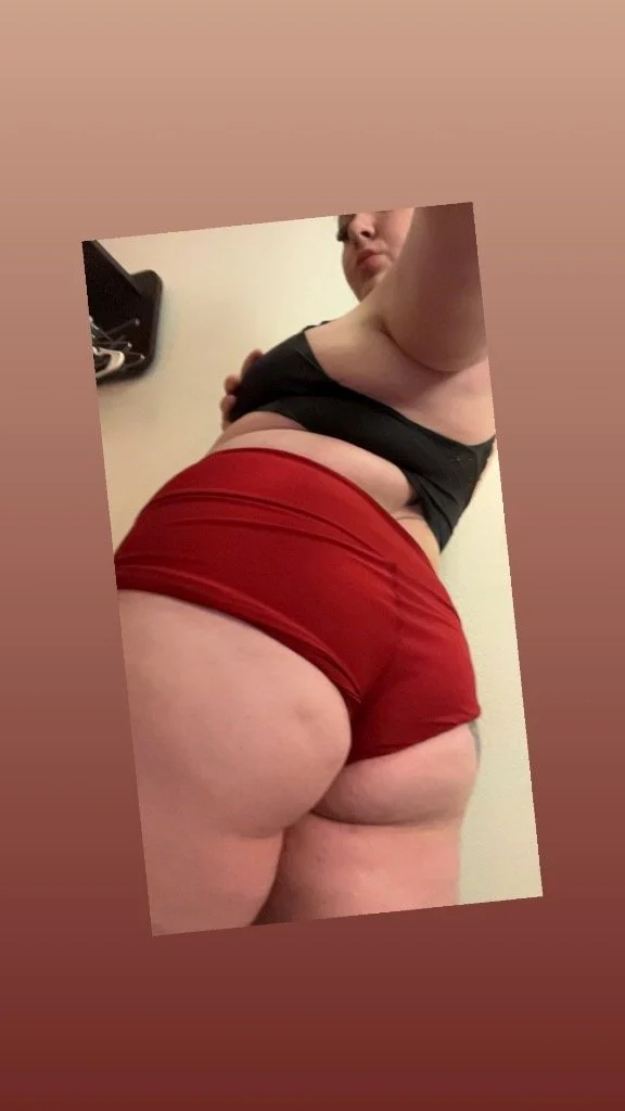 BBW Bunny image 2