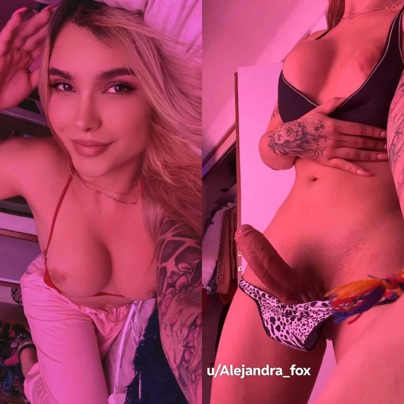 TS 22 image 4