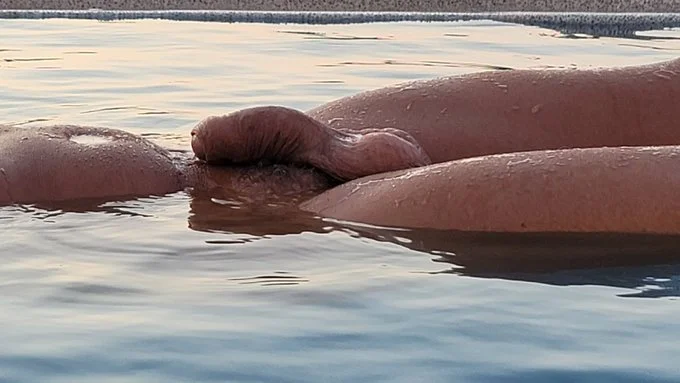 DADDY MARCUS🍆LONDON image 5