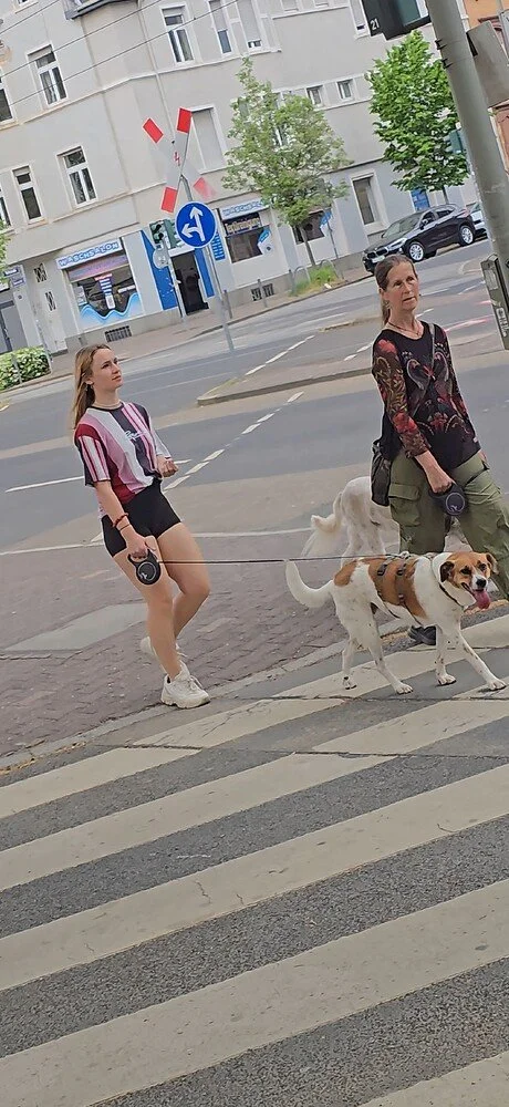 REAL GERMAN AMATEUR MIT MUTTI image 3