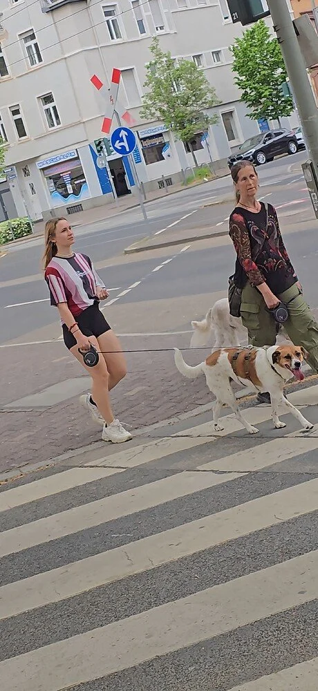 REAL GERMAN AMATEUR MIT MUTTI image 5