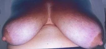 Dev Tittensau packt aus main image