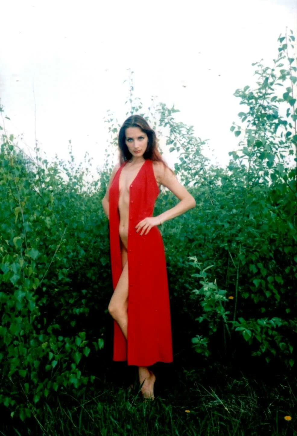 Tosha image 7