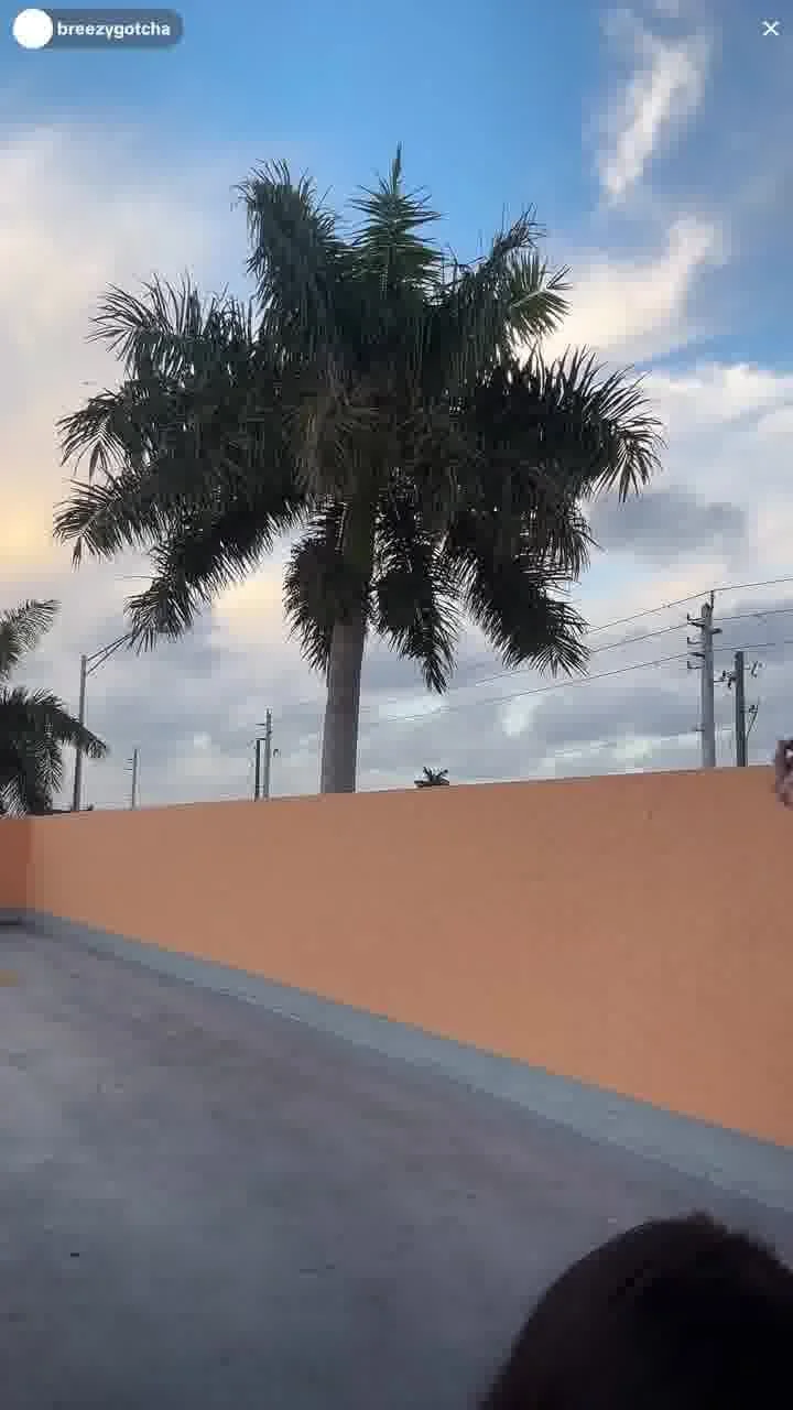 tiktok live br33zyg0tch4 image 5