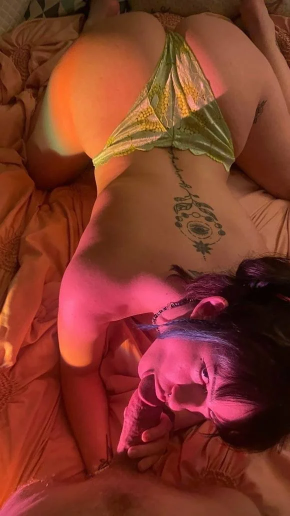 Stella image 12