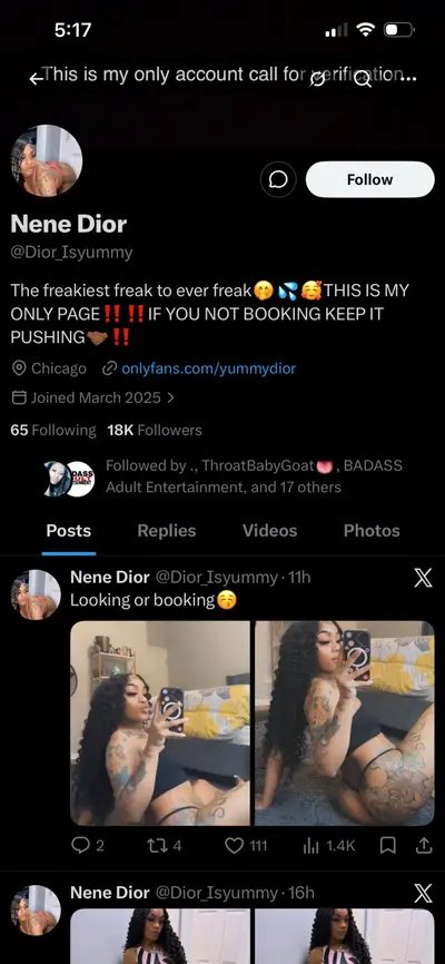 YummyDior OF cover image