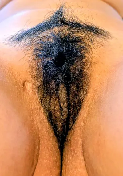 Hairypussyland cover image