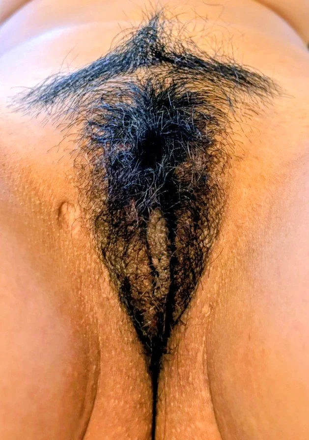 Hairypussyland main image