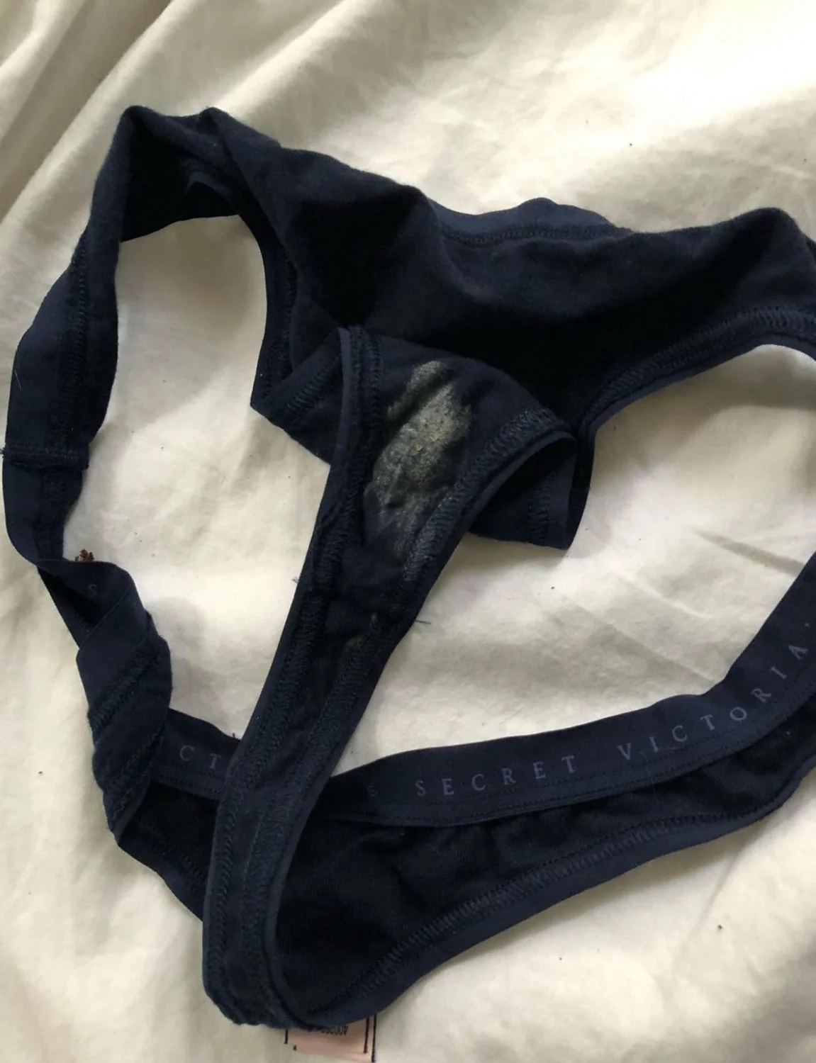 bryana and her dirty panties dm wwyd image 2