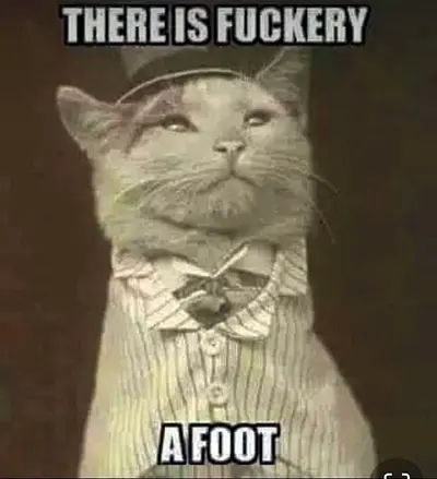 Just a pussy.... cover image