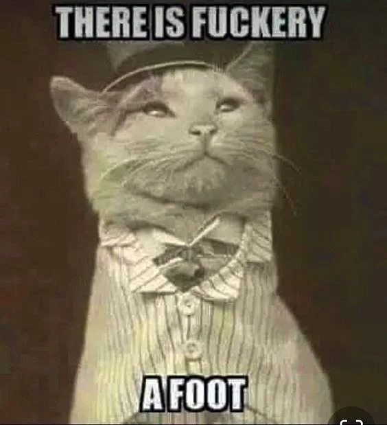 Just a pussy.... main image