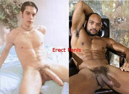 BBC image 3