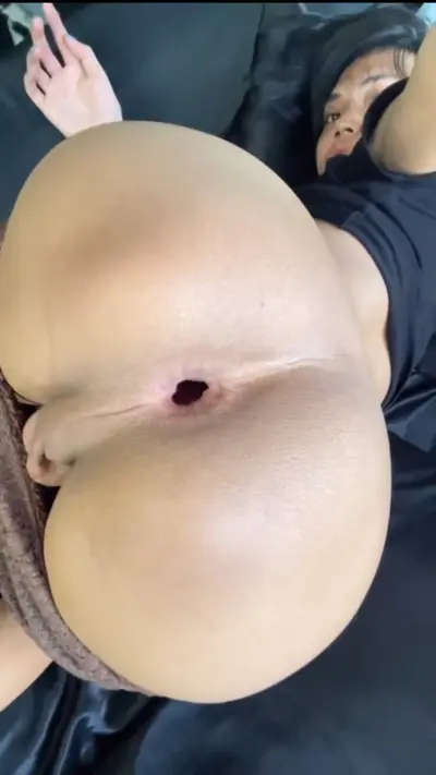 Trannies cover image