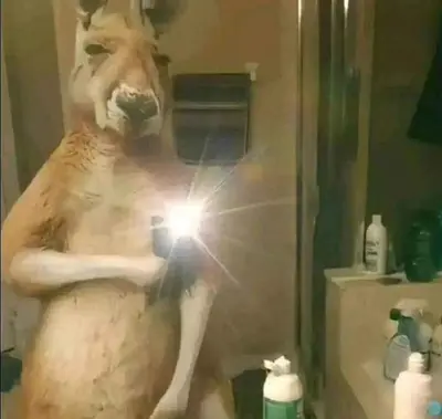 Anyone got sister nudes or moms nudes? cover image