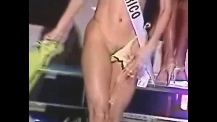 Miss Universo Pussy image 8