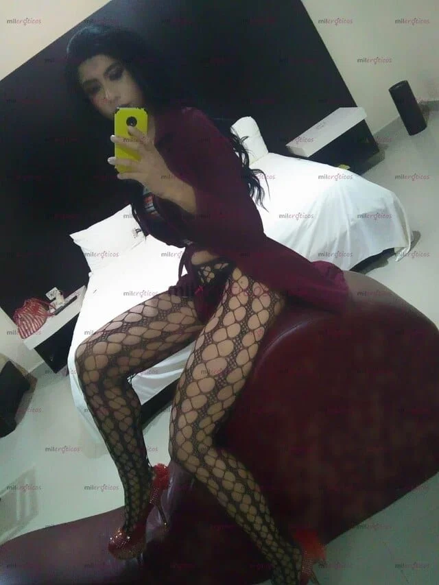 Transexuales mexicanas scort parte 4 image 16