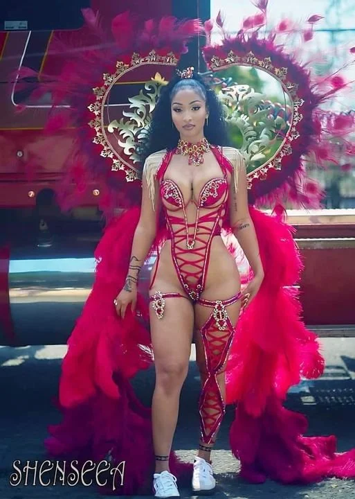 Shenseea image 16