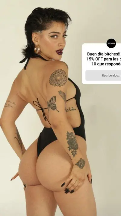La chilena/ belenegri / belen negri cover image