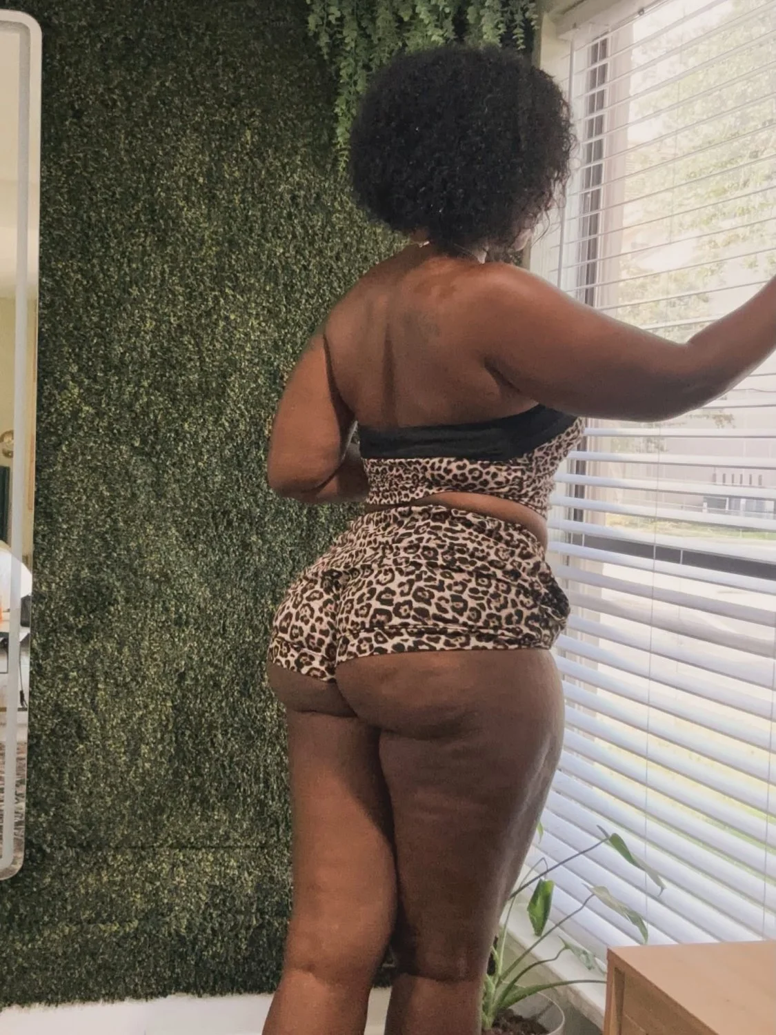 Meg D Town Live!!!! 🐆🌳 image 3