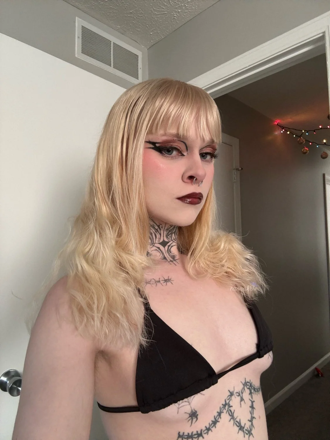 Succubus image 2