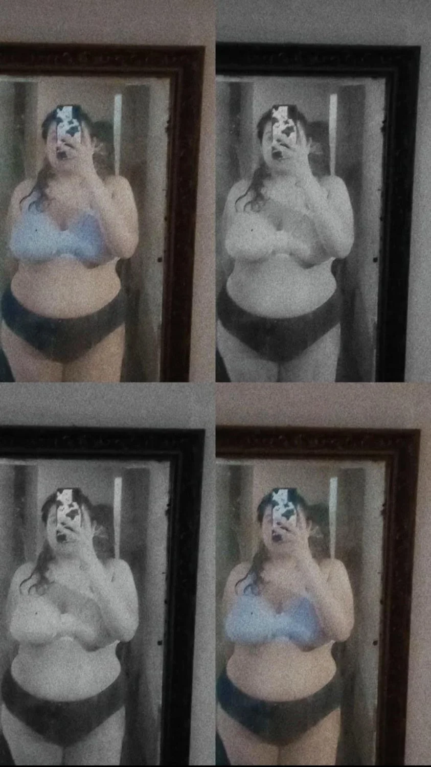 Gabriela chichona exhibida image 11
