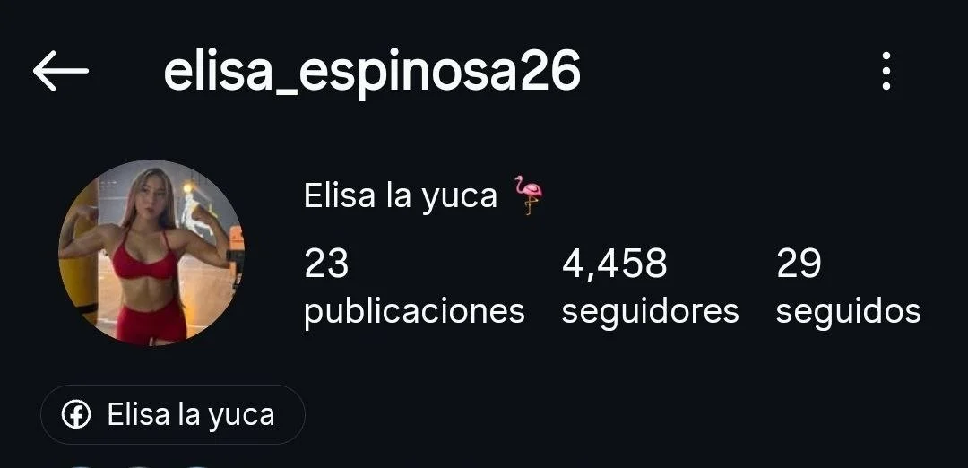 Mexicana pendeja expuesta 🇲🇽 image 3