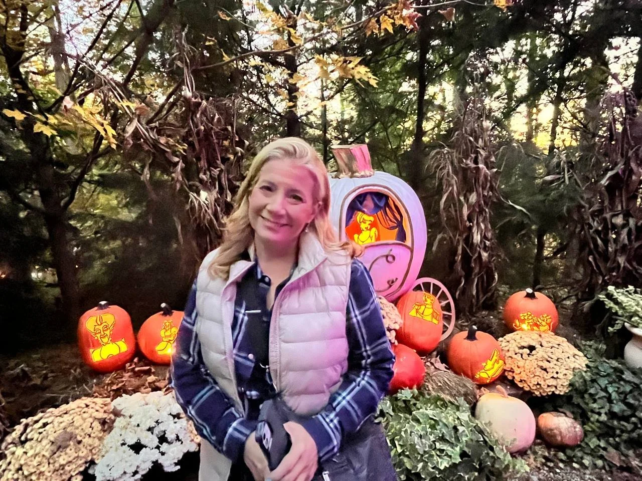 54 Year Old Wife main image