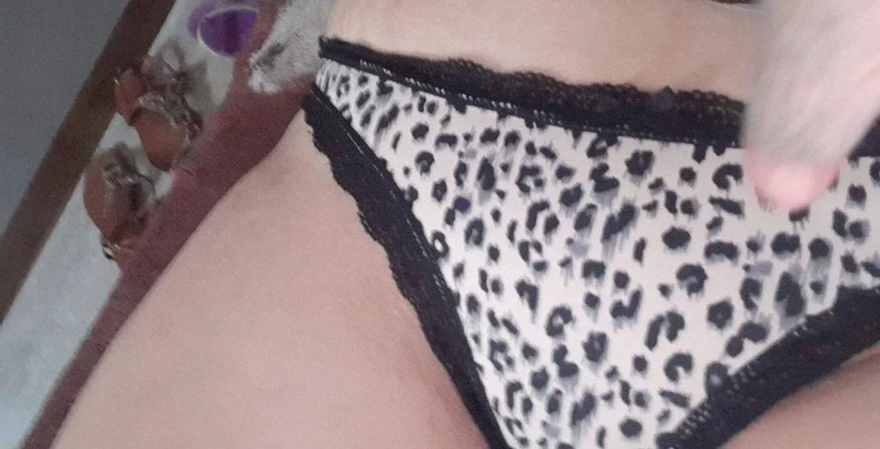La zorra Méxicana de grandes tetas se llama Larisa Garcia de 38 años image 5
