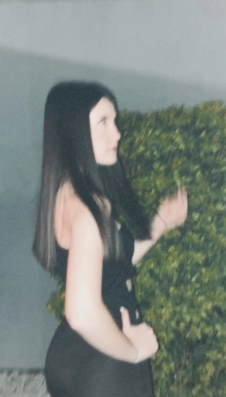 Delfina image 3