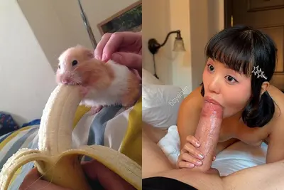 Petite asian bwc cover image