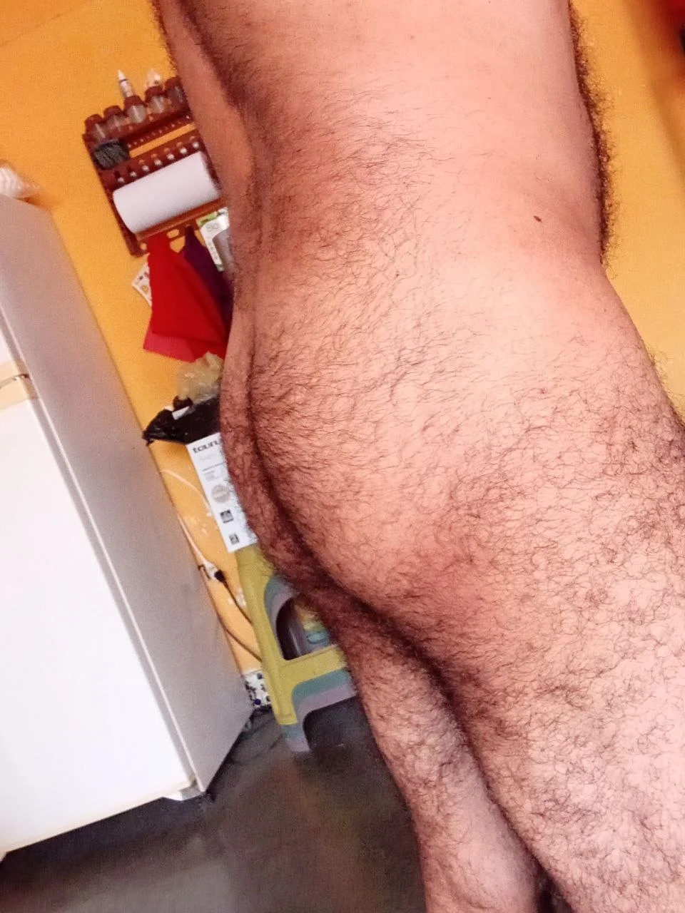 PELUDO RICO GOSADOR image 16