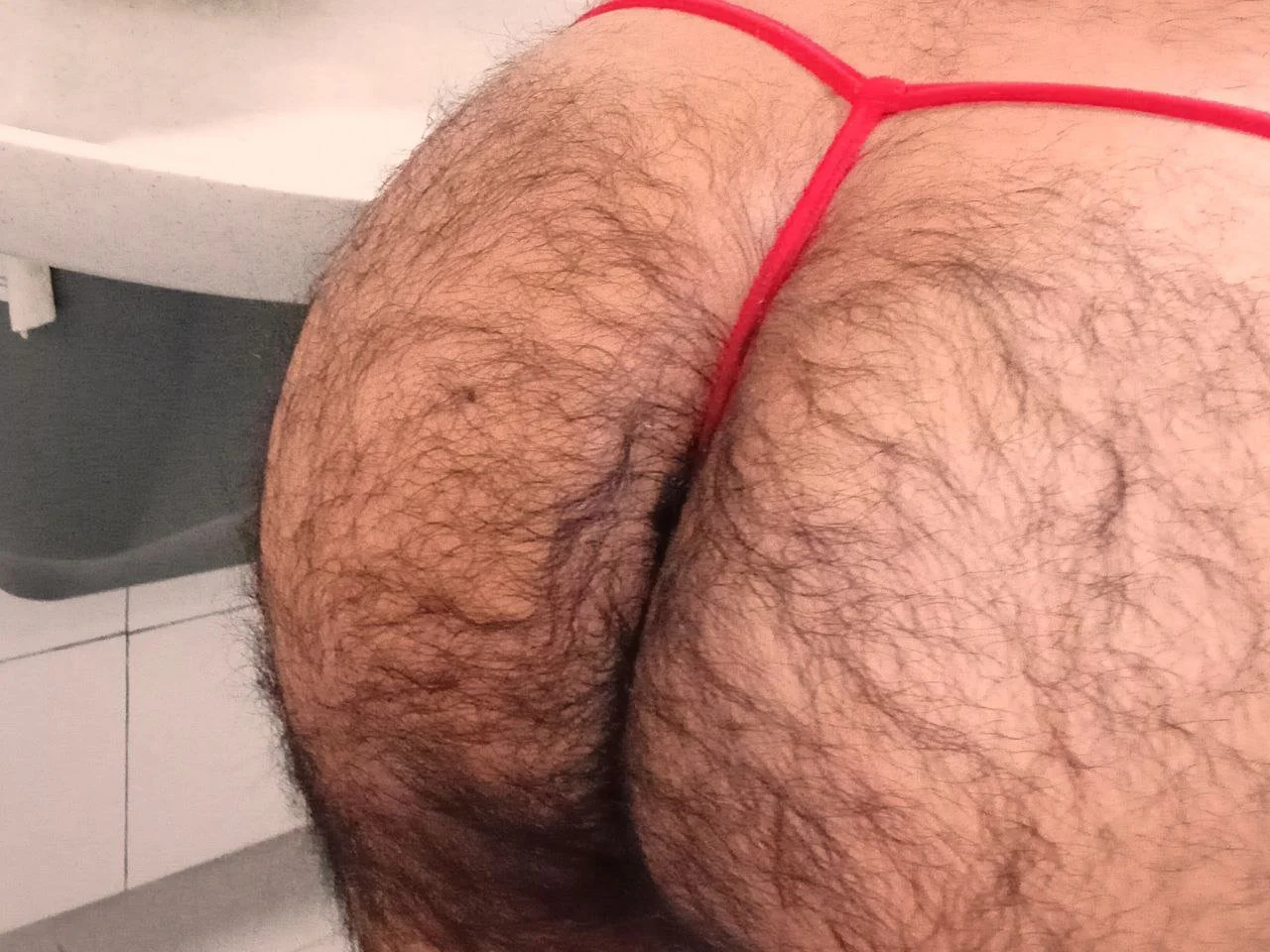 PELUDO RICO GOSADOR image 24