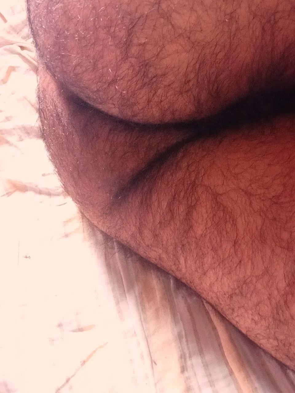 PELUDO RICO GOSADOR image 25