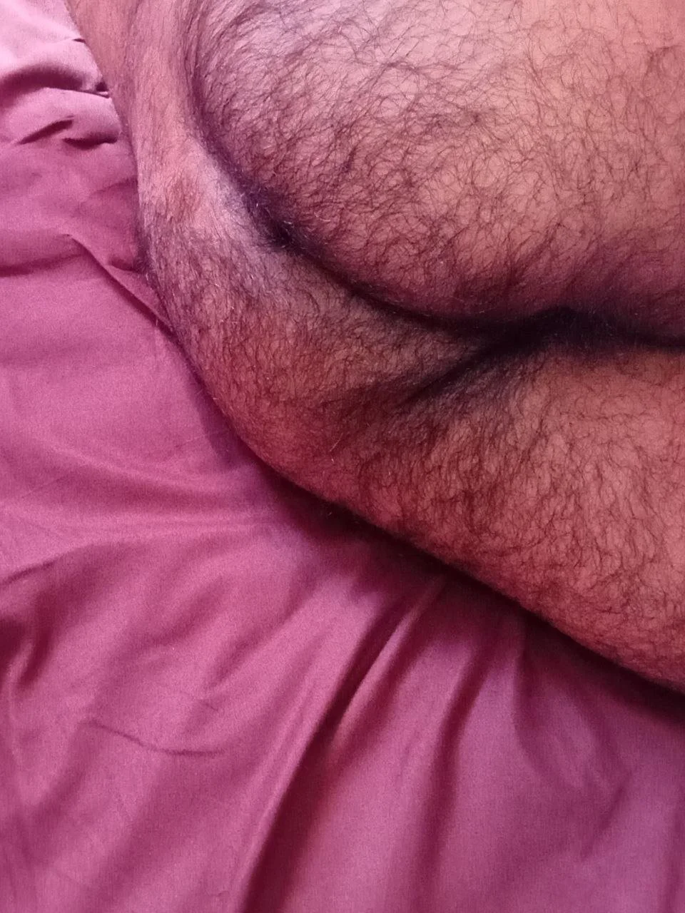 PELUDO RICO GOSADOR image 26
