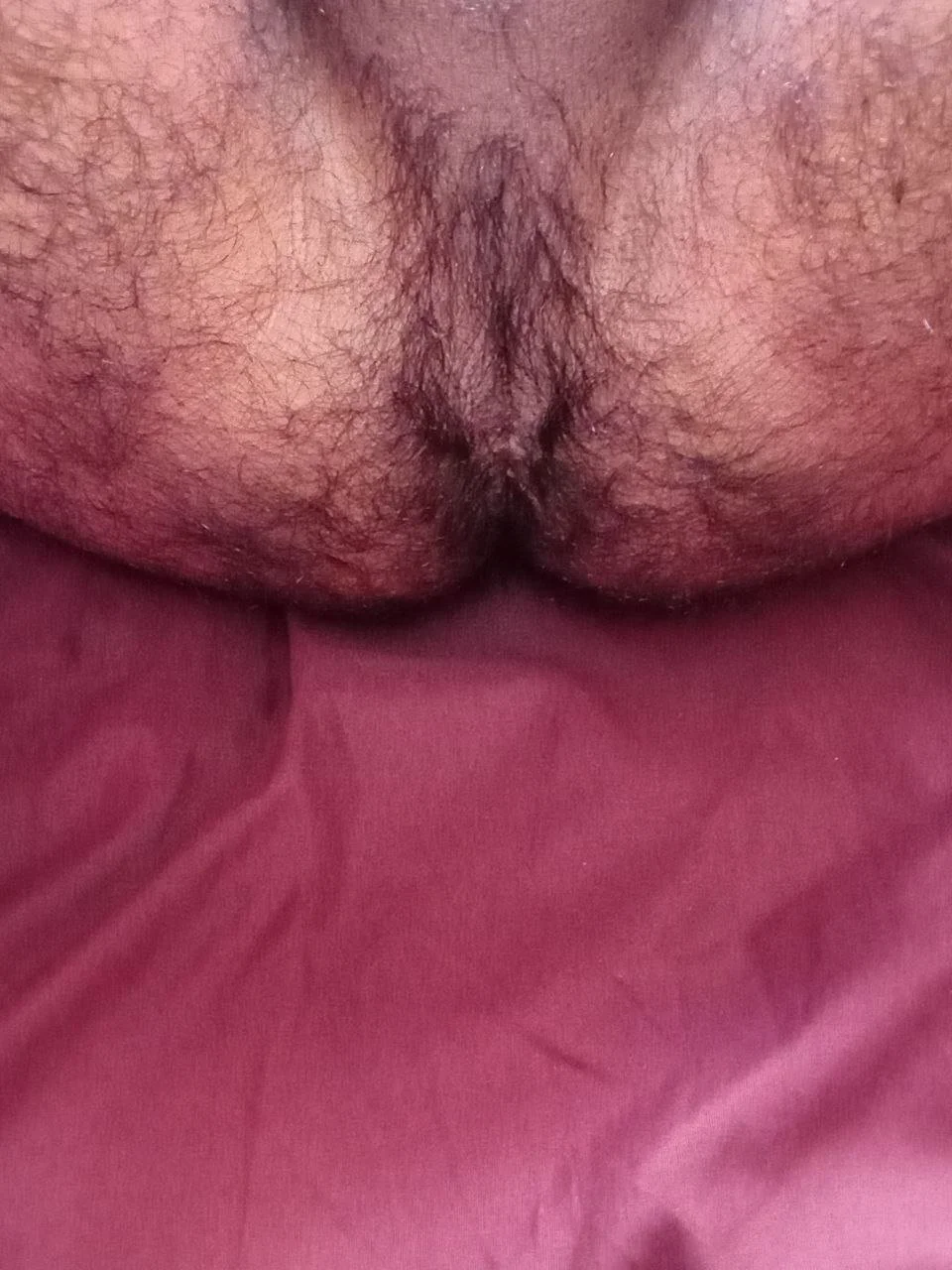 PELUDO RICO GOSADOR image 29
