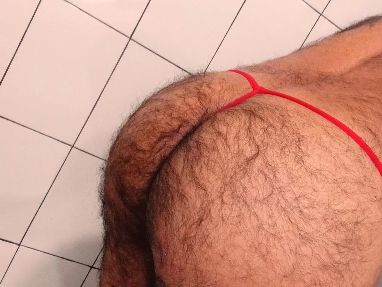 PELUDO RICO GOSADOR image 31