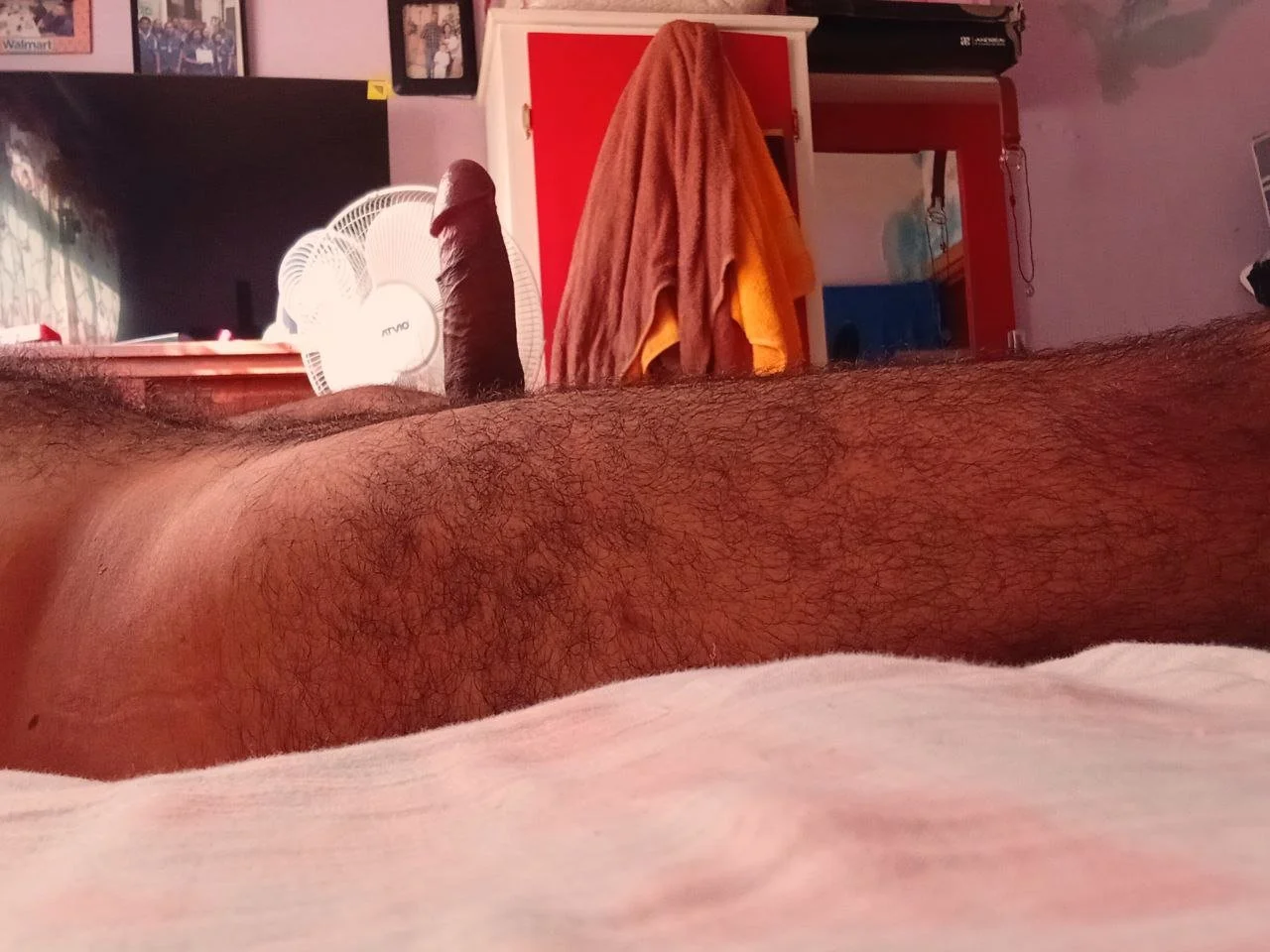 PELUDO RICO GOSADOR image 32
