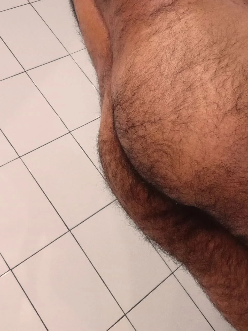 PELUDO RICO GOSADOR image 37