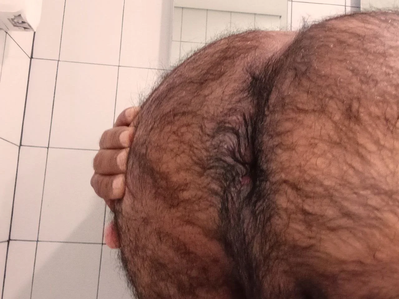 PELUDO RICO GOSADOR image 38