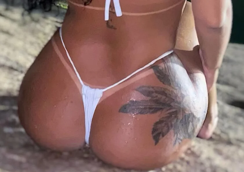 mel_castr7 image 4