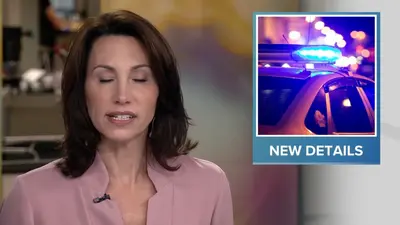 MILF Reporter Betsy Kling. 4/20 cover image