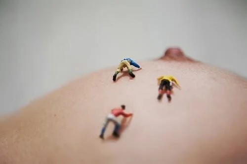 Toy Story for Adults image 2