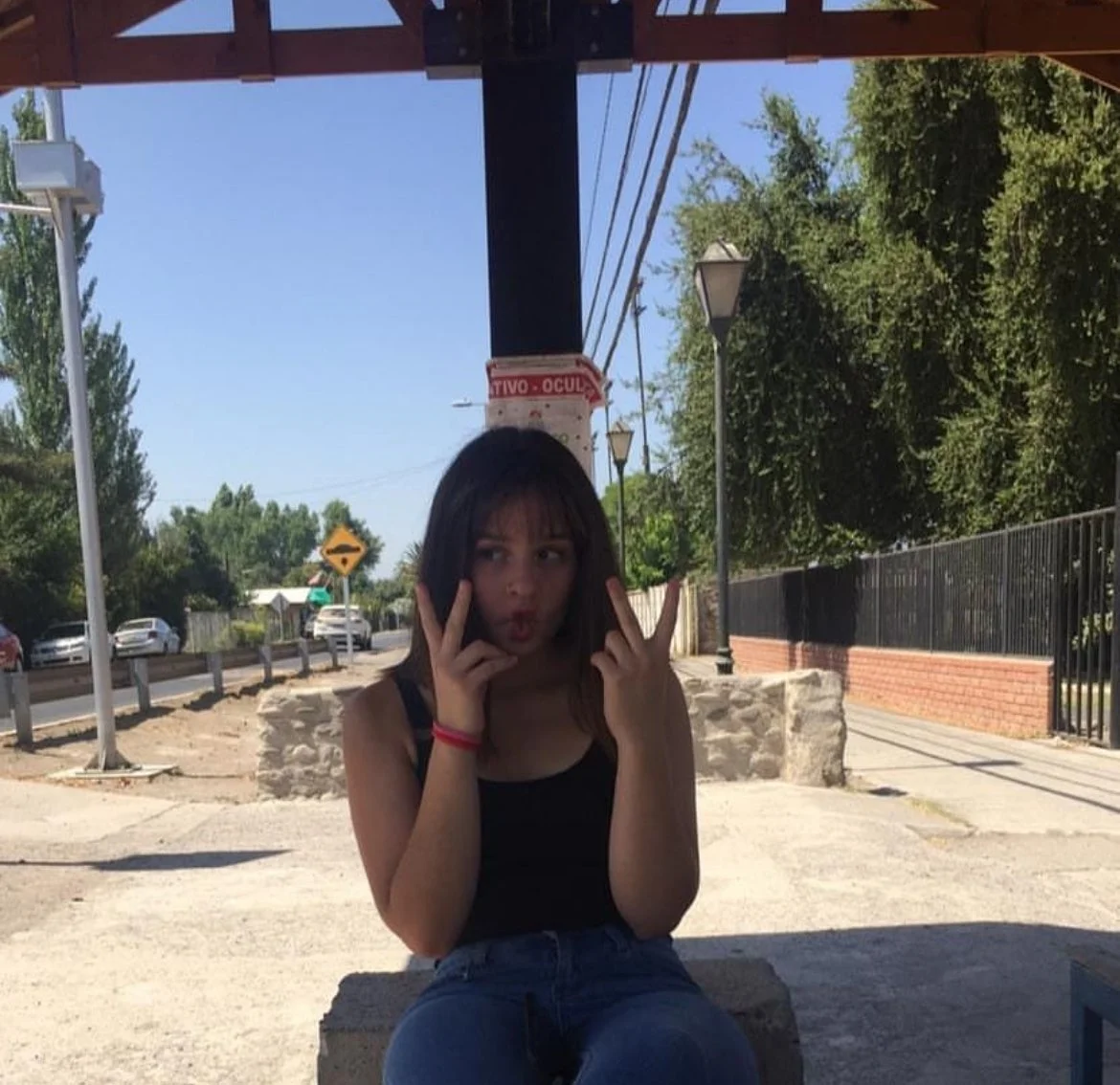 Camila, chilena con buena cintura y cuerpo para preñarla, 22 image 9