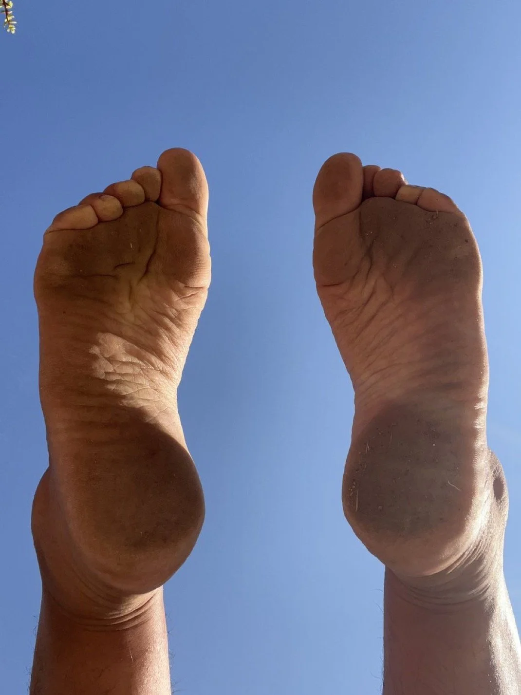 Latina feet image 23