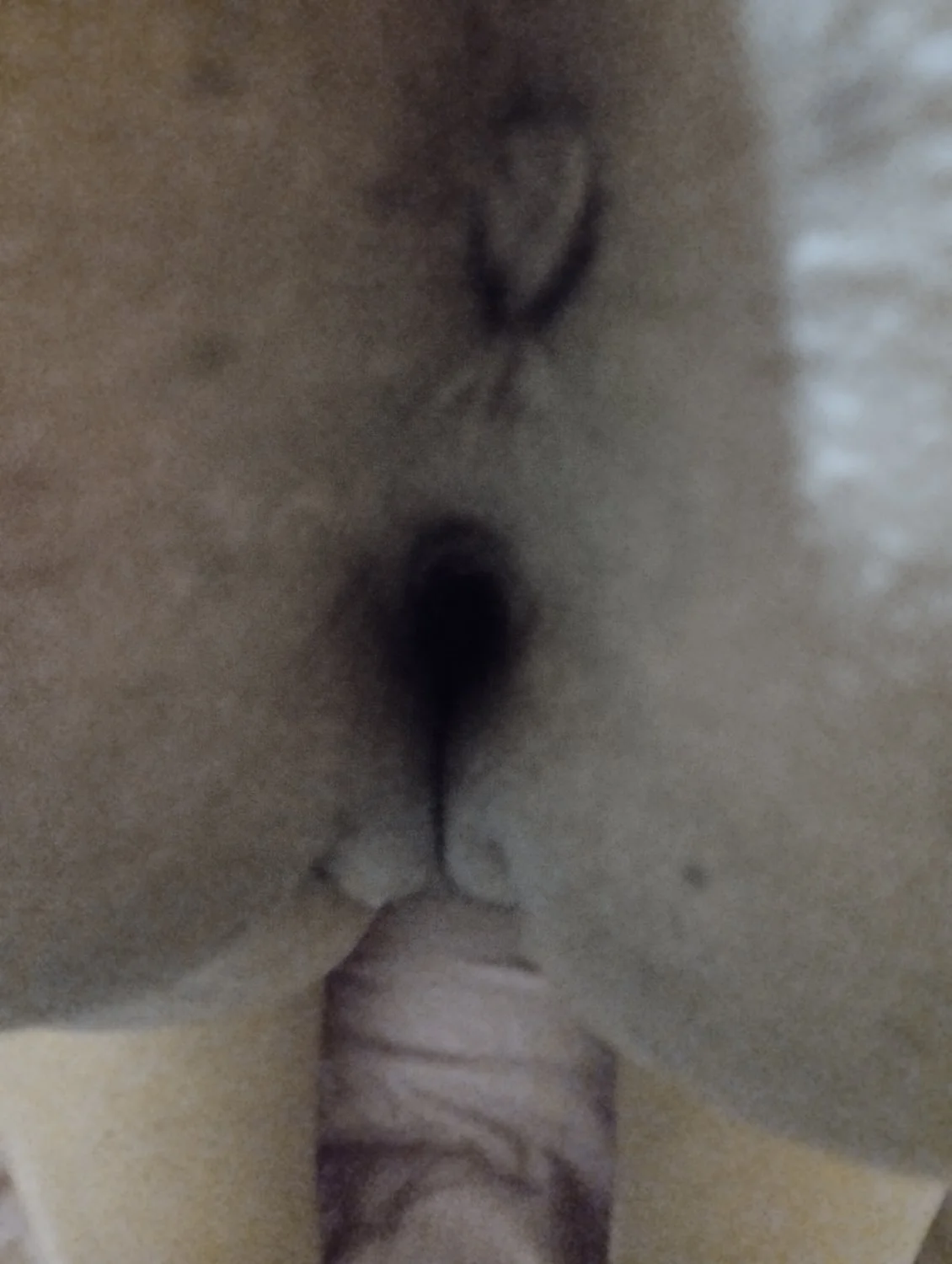 Gordinha Puta Arrombada 😈 image 3