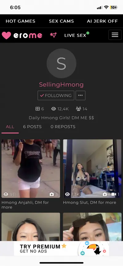 SellingHmong scammer cover image