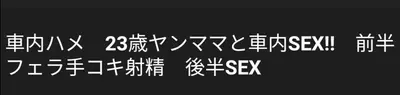 🔚Japanese　車内　フェラ　ハメ撮り　エロス　一発やりたい cover image