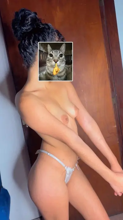 Whjbfbhgb cover image